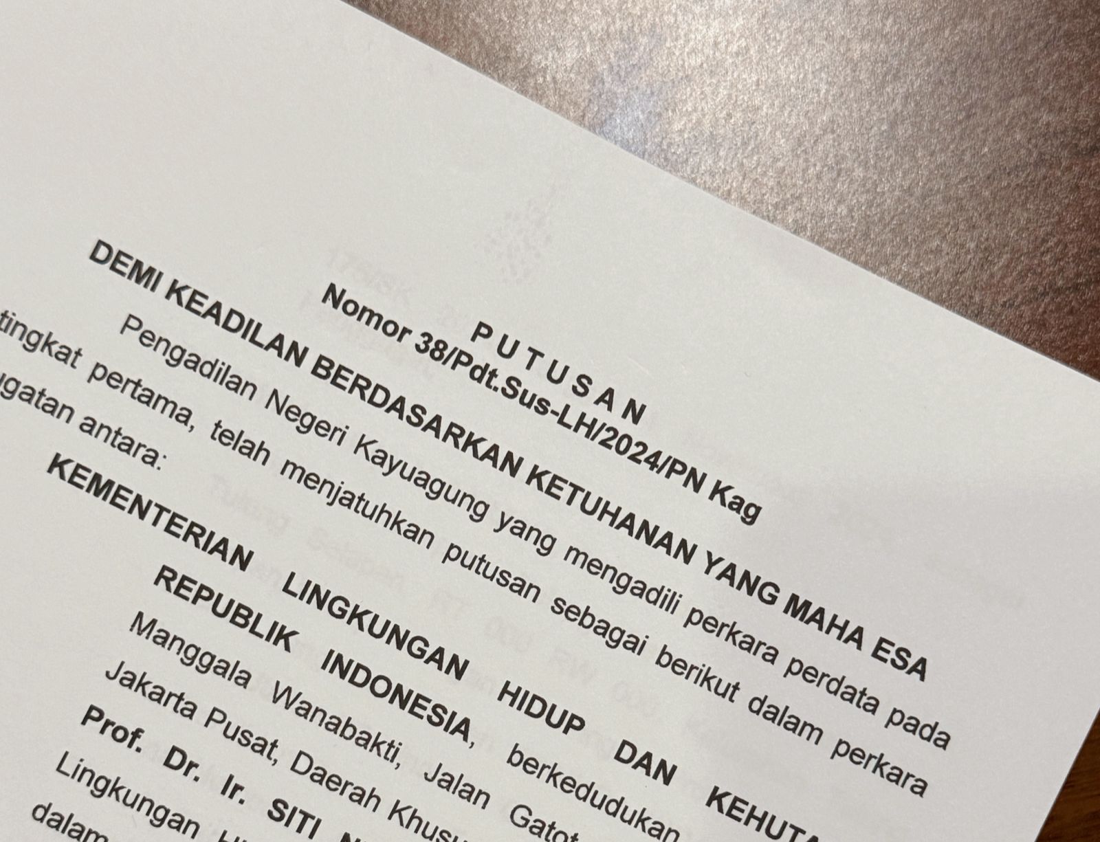 PN Kayuagung: Negara Berwenang Ajukan Gugatan Kerusakan Lingkungan Lahan Privat